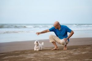 mann spielt mit malteser am strand