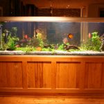 aquarium test, aquarium schrank