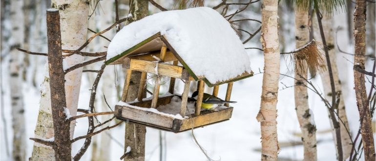 vogelhaus test, vogelhaeuser test