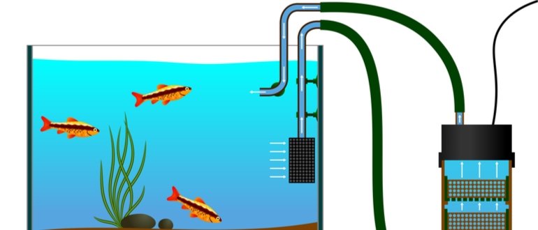 außenfilter test, aquarium außenfilter