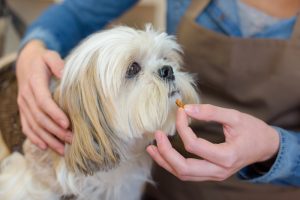 Oulver-Ergänzungsfutter für Hunde