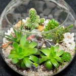 nano terrarium