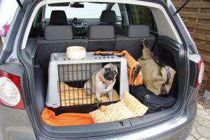 auto-hundegitter-test, hundeschutzgitter fuers auto im test