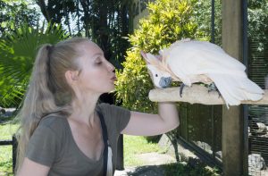 Zahmer Weißhaubenkakadu mit Halterin