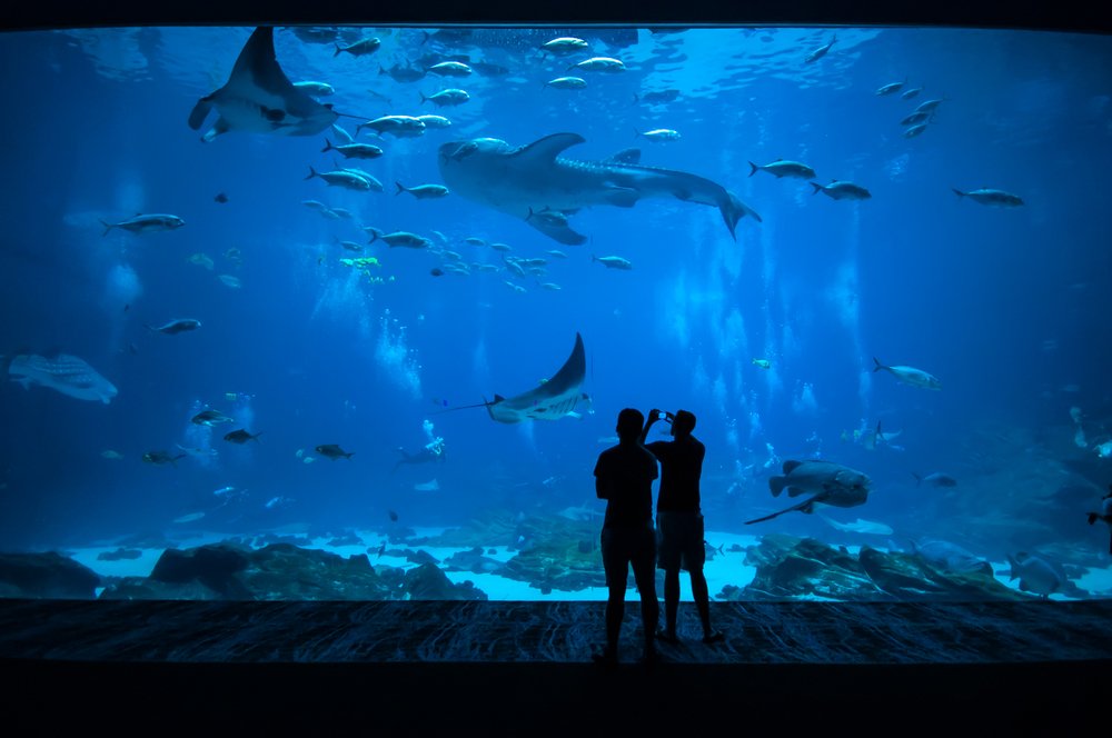 Aquarium
