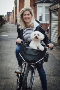 Lenker mit Hundefahrradkorb