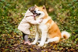 Kind umarmt einen großen Hund