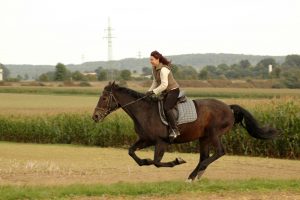 frau reitet braunes pferd auf feld