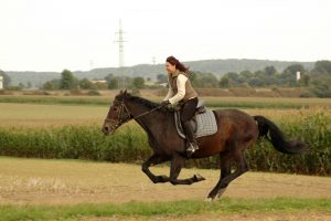 frau reitet braunes pferd auf feld