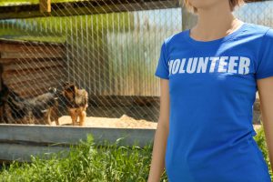 freiwillige aus tierschutzverein vor großem außenkäfig mit zwei hunden