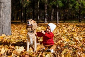 kind neben kinderfreundlichem cocker spaniel