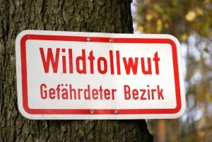 tollwut hinweisschild im wald