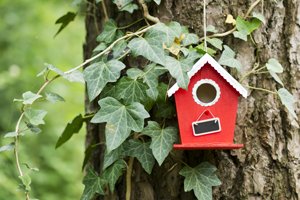 vogelhäuschen im garten