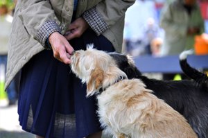 frau füttert älteren hund