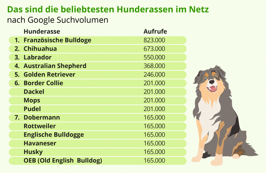 Zum Welttag des Hundes am 10.10. Das sind die beliebtesten Hunderassen