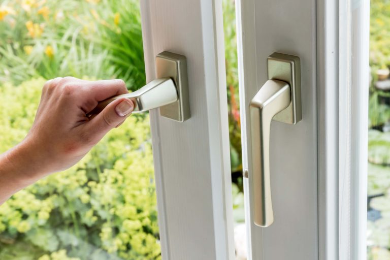 Staubläuse Lebensweise, Erkennungsmerkmale & Tipps zur Bekämpfung