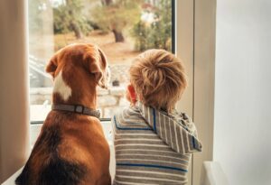 kleiner junge und hund am fenster