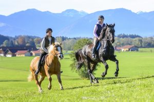 Ausritt von zwei Reitern in den Bergen