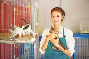 Tierpflegerin kümmert sich um Kätzchen